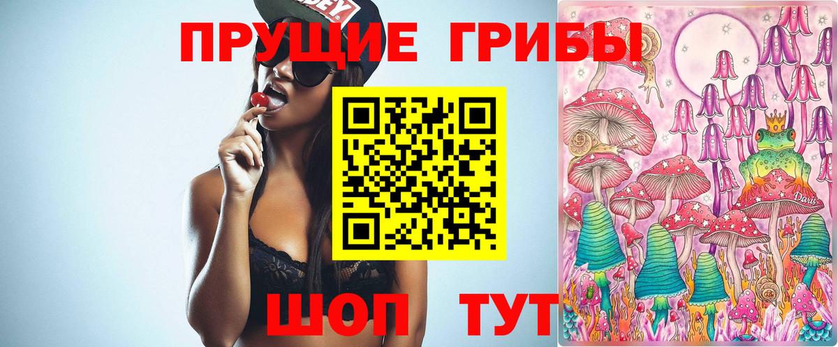 Сосновый Бор  Псилоцибиновые грибы Cubensis  Вход с VPN 