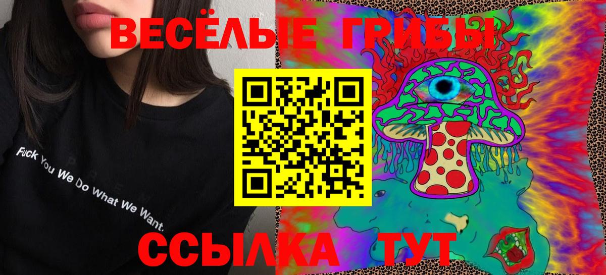 Галлюциногенные грибы MAGIC MUSHROOMS Сосновый Бор